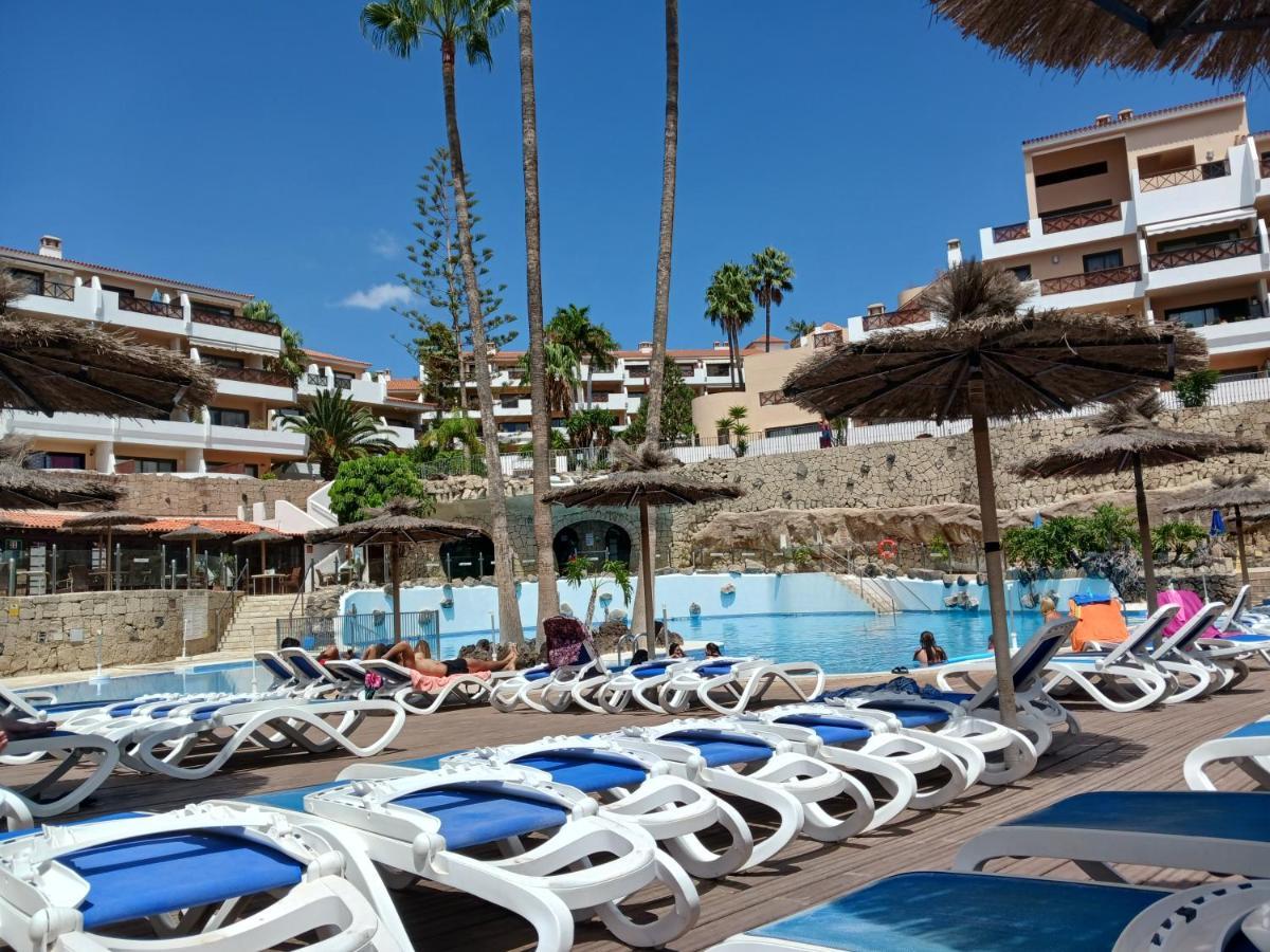 Chillout Studio Albatros In Toller Anlage Mit Pool San Miguel de Abona Buitenkant foto