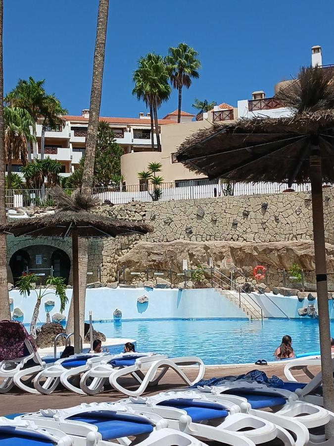 Chillout Studio Albatros In Toller Anlage Mit Pool San Miguel de Abona Buitenkant foto