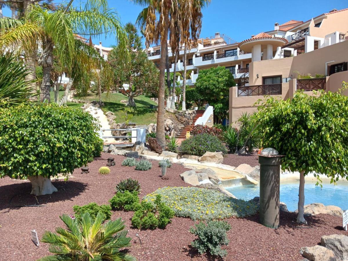 Chillout Studio Albatros In Toller Anlage Mit Pool San Miguel de Abona Buitenkant foto